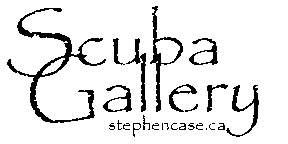 scuba